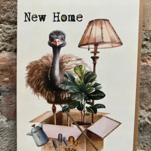 New Home