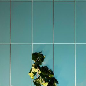 Kakel Aqua Blue Liso Brillo 10X20